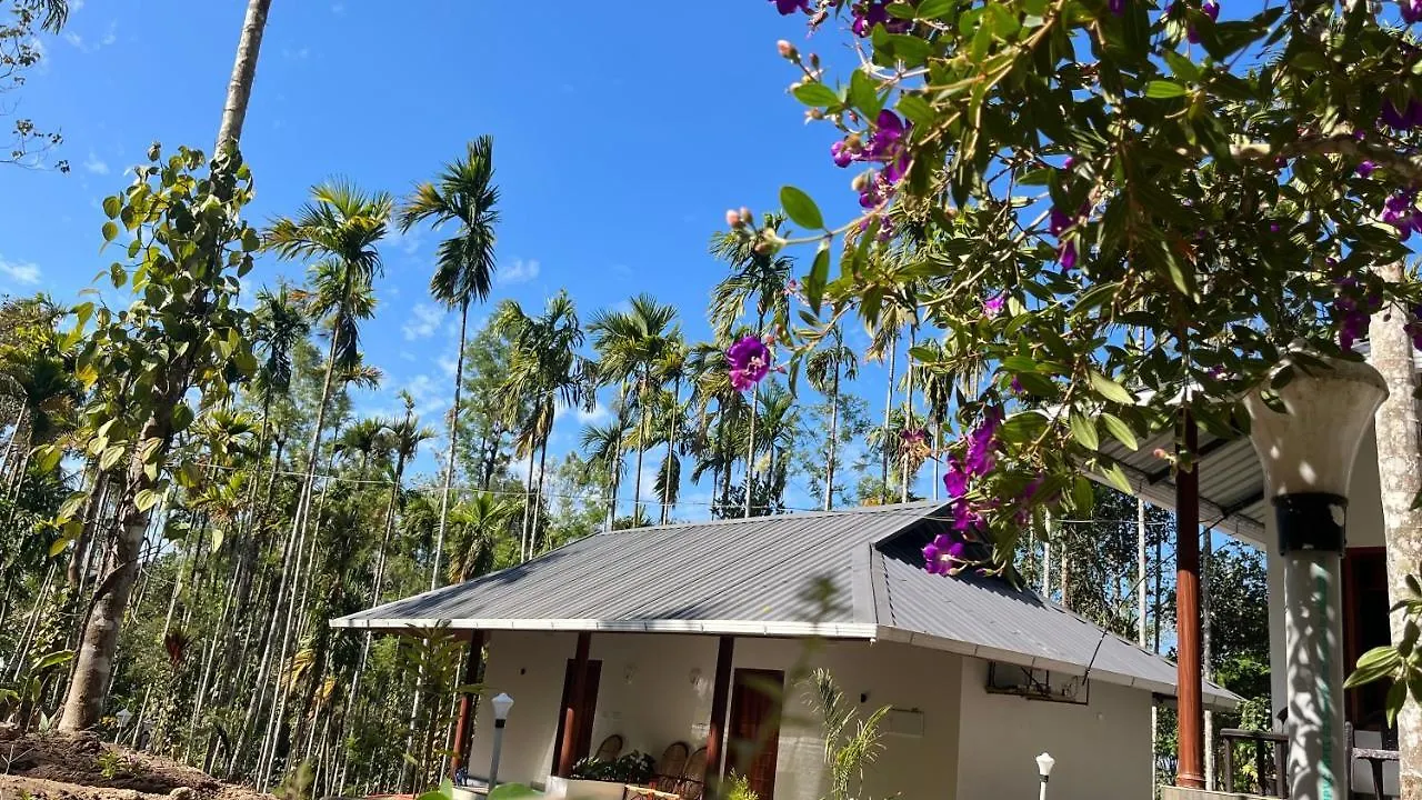 Гостевой дом Cave Valley Wayanad Ambalavayal