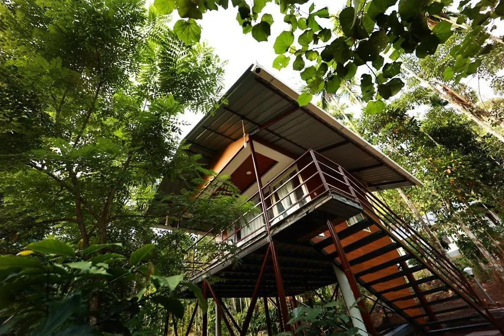 Cave Valley Wayanad Ambalavayal