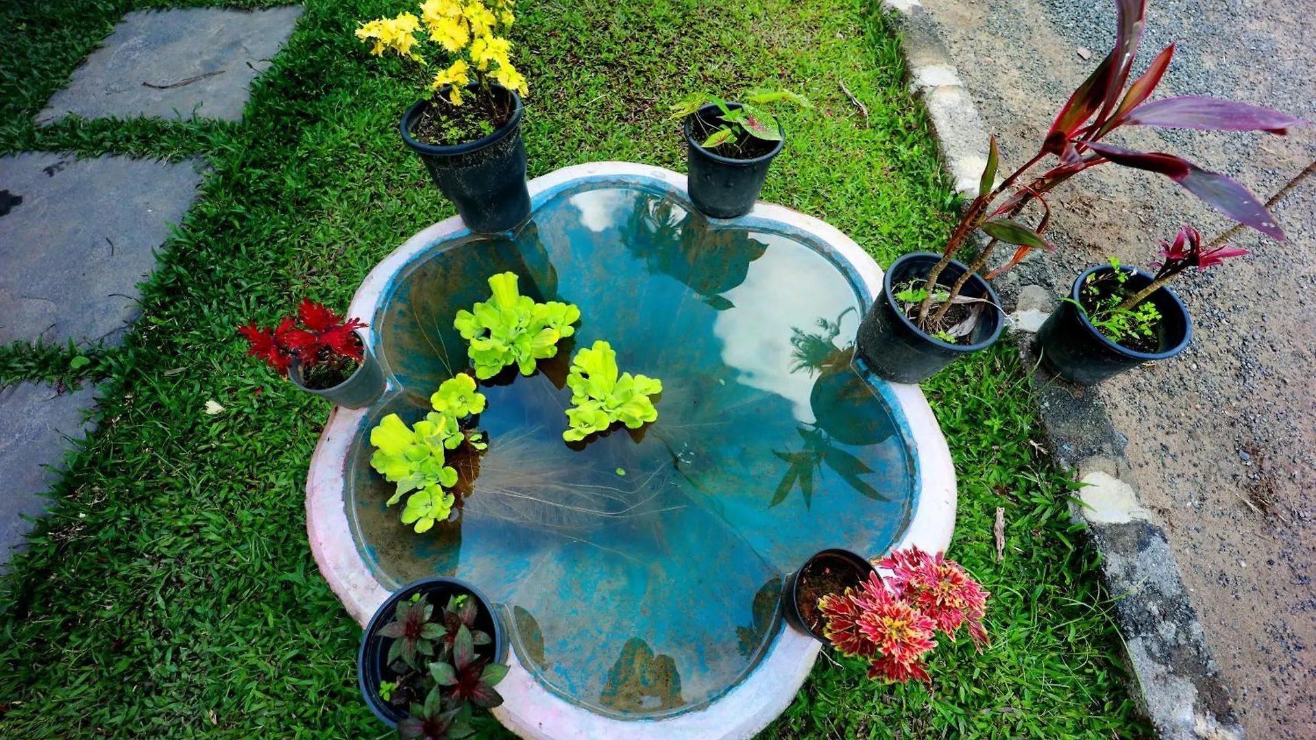 Cave Valley Wayanad Ambalavayal Guest house