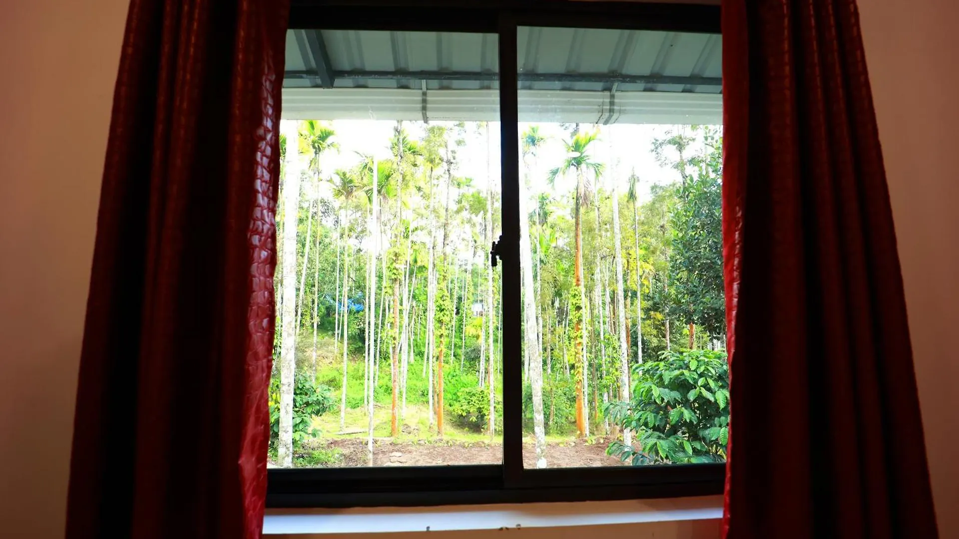 Cave Valley Wayanad Ambalavayal