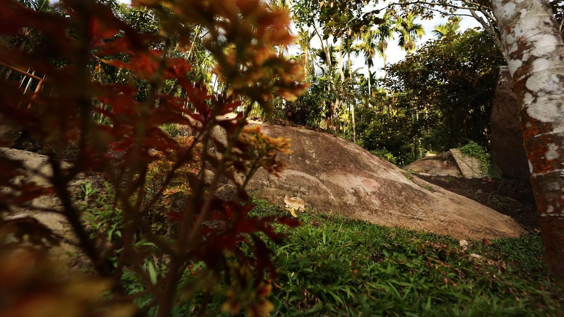 Гостевой дом Cave Valley Wayanad Ambalavayal