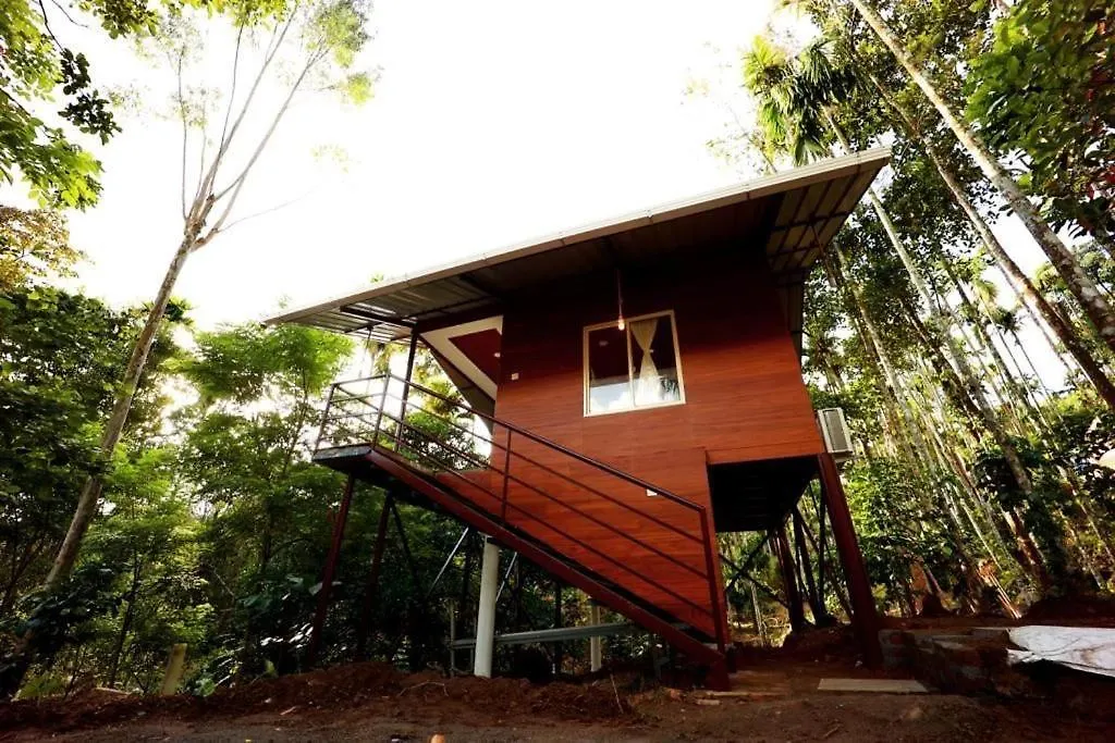 Cave Valley Wayanad Ambalavayal Guest house