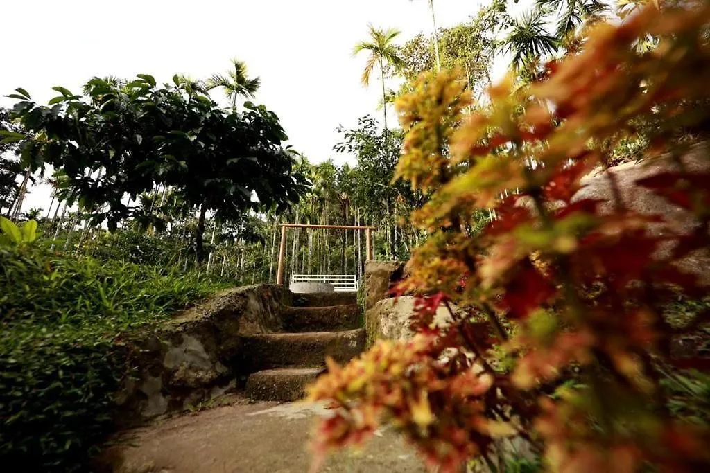 Cave Valley Wayanad Ambalavayal