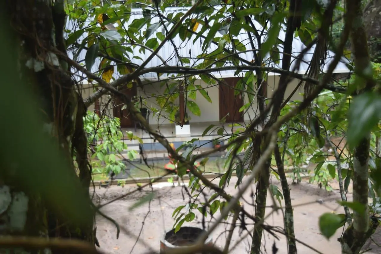 Cave Valley Wayanad Ambalavayal Guest house