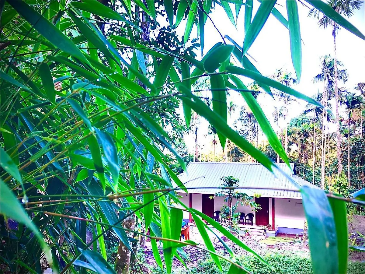 Cave Valley Wayanad Ambalavayal 0*,