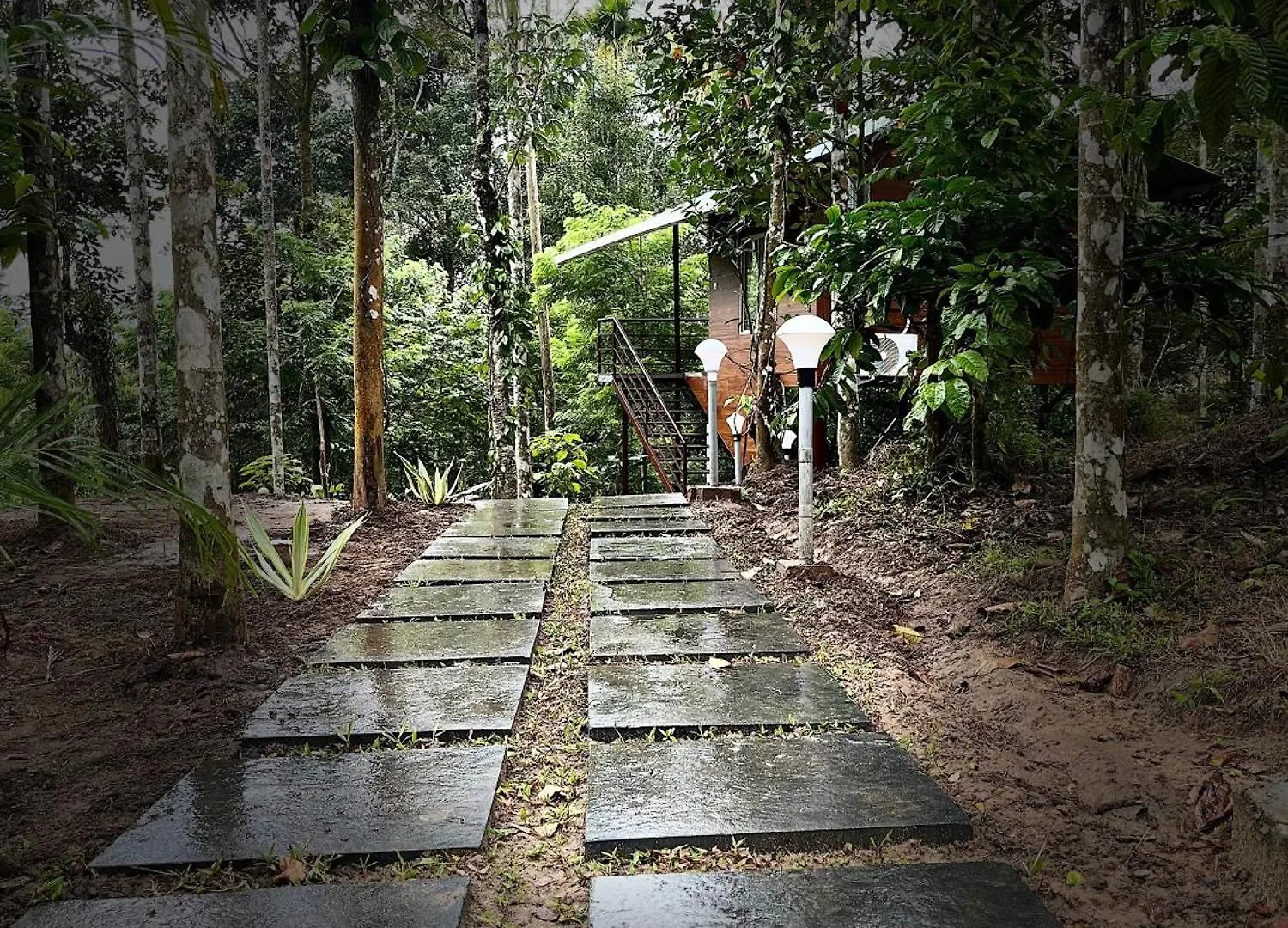 Cave Valley Wayanad Ambalavayal
