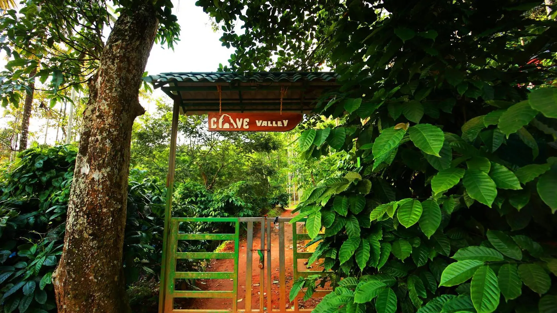 Cave Valley Wayanad Ambalavayal Guest house