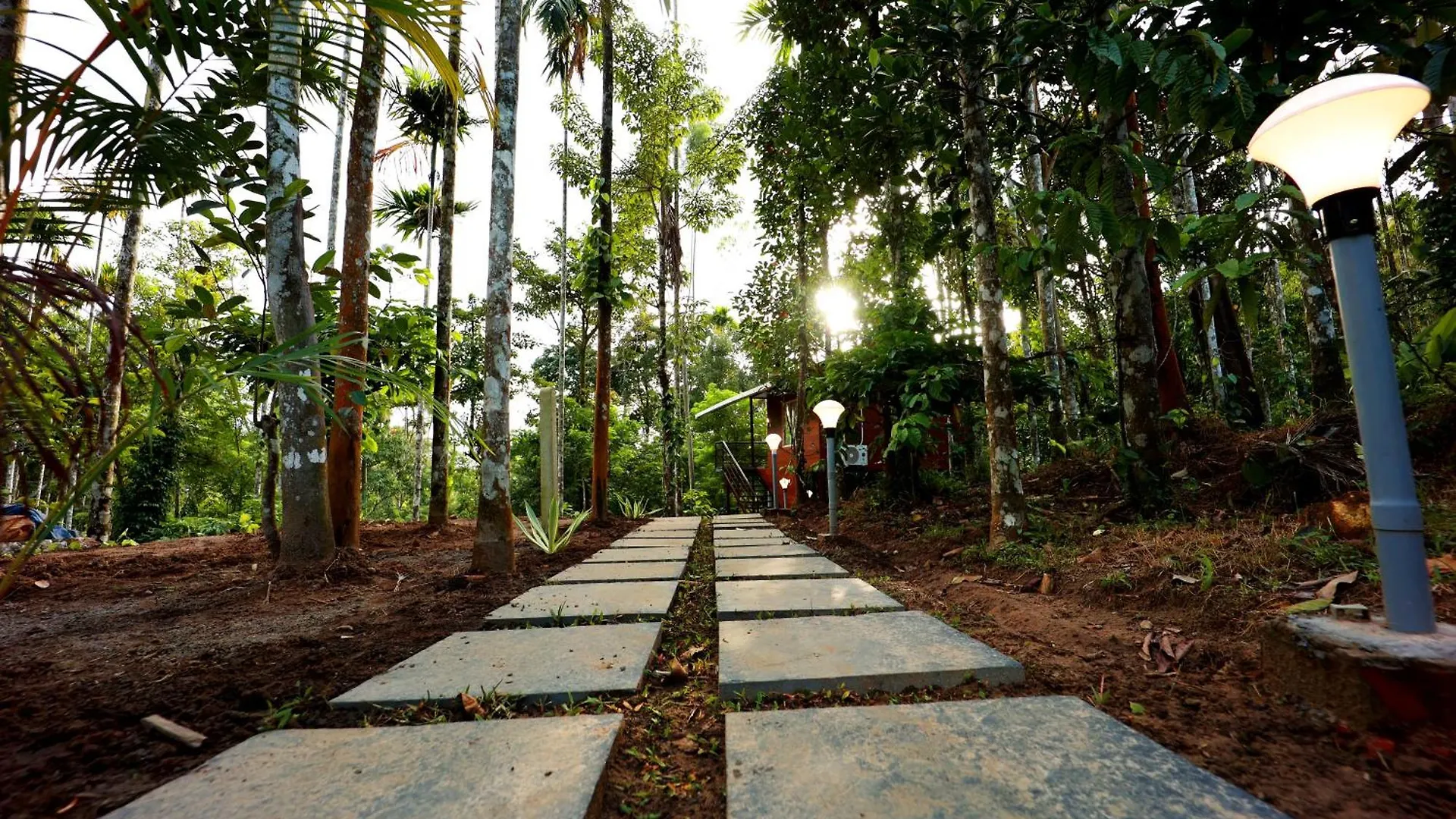 Cave Valley Wayanad Ambalavayal 0*,