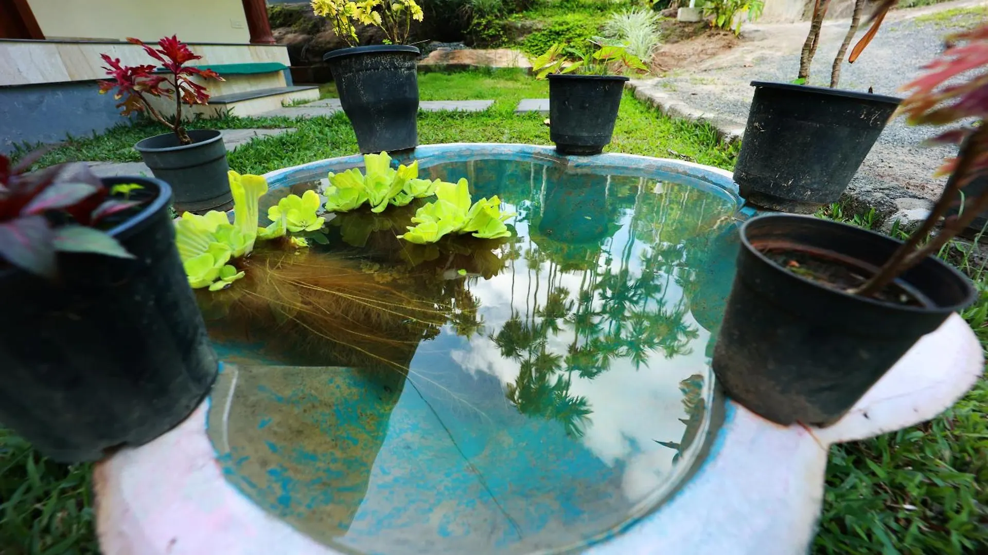 Cave Valley Wayanad Ambalavayal Guest house