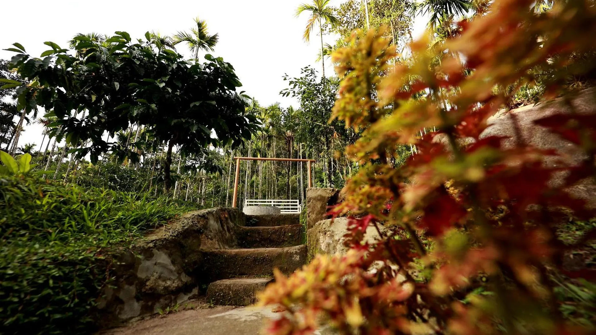 Cave Valley Wayanad Ambalavayal