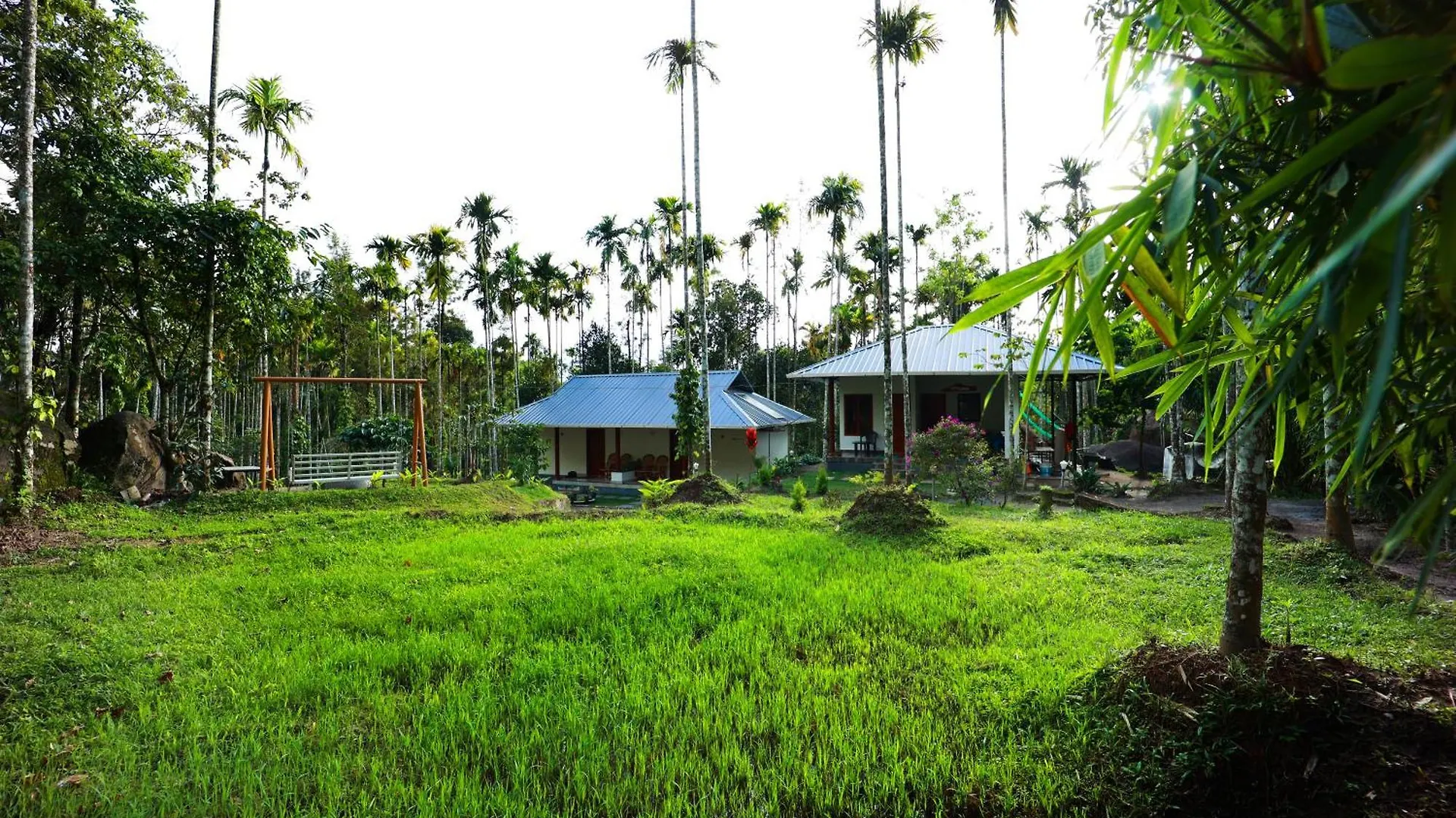 Cave Valley Wayanad Ambalavayal Guest house