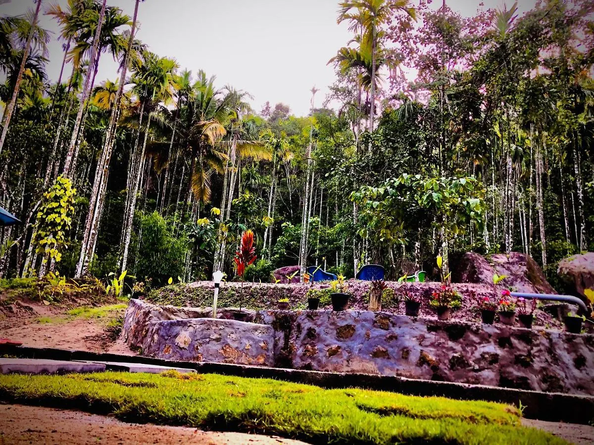 Cave Valley Wayanad Ambalavayal